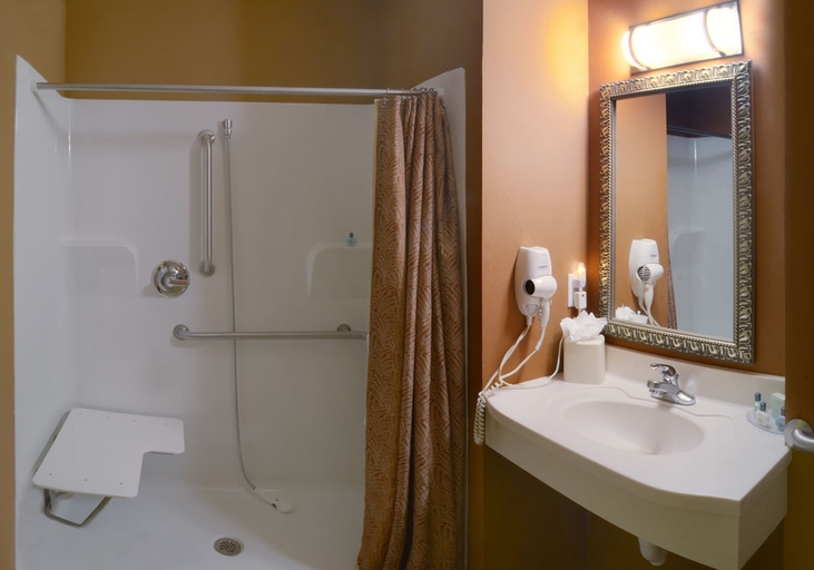 Bathroom 4, Parke Regency Hotel & Conf Ctr, McLean