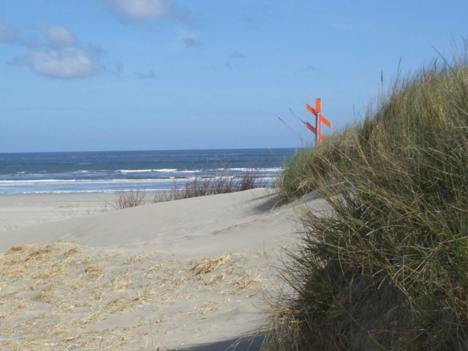 Beach 5, House Flora, Golden Knoepke, Aurich