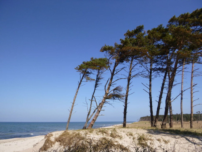 Beach 3, Baltic Sea Dromelhus, Vorpommern-Rügen