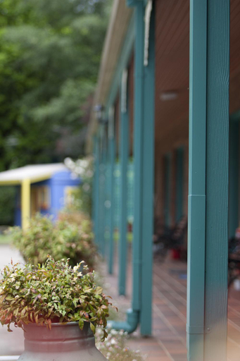 Others 3, Snowgum Motel, Alpine - East