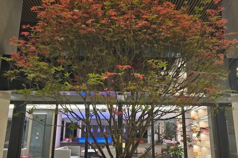 Others 4, Nanshan Hotel, Panzhihua