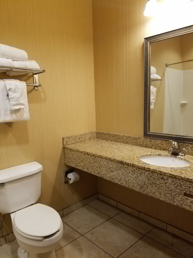 Bathroom 4, Comfort Inn & Suites Blytheville, Mississippi