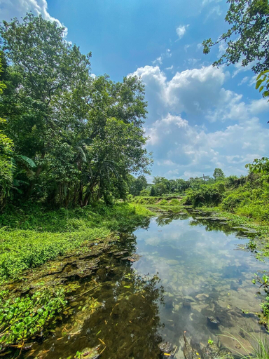Others 4, King Jungle Walk Safari & Home Stay, Narayani