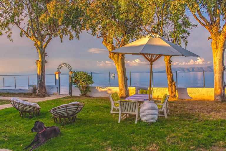 Others 4, LeMaMi Seafront Bungalows, Ionian Islands