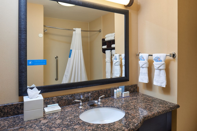 Bathroom 4, Hampton Inn & Suites Austin South/Buda, Hays