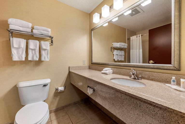 Bathroom 4, Comfort Suites West Indianapolis - Brownsburg, Hendricks