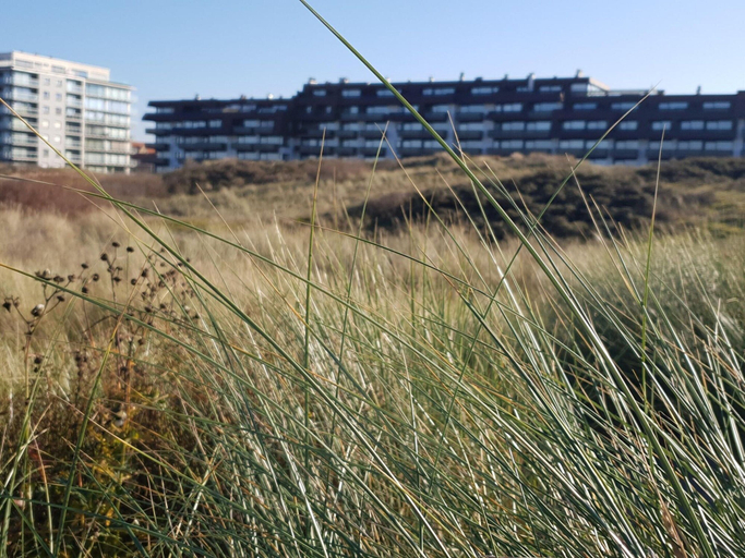 Others 5, Apartment With Terrace and Side sea View, West-Vlaanderen