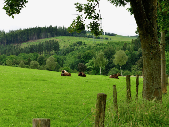 View from property 5, Holiday Home Near Winterberg Ski Slopes, Hochsauerlandkreis