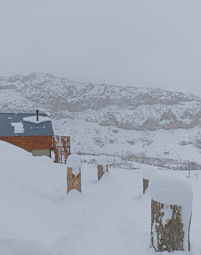 Others 4, Cottage Toladi, Kazbegi