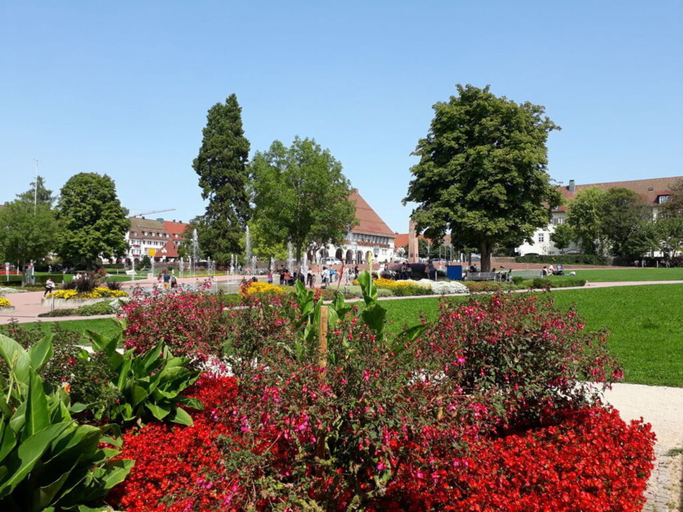 Pool, In the Middle of Nowhere, Rottweil