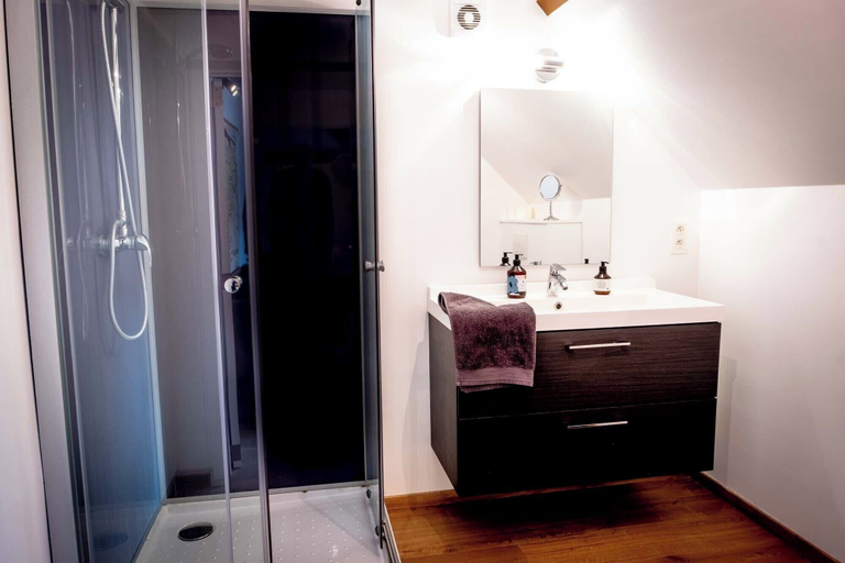 Bathroom 3, Quartier Leonard, Oost-Vlaanderen