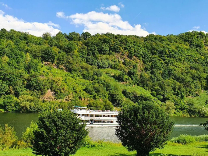 Property grounds 2, Holiday Apartment Lenz, Bernkastel-Wittlich
