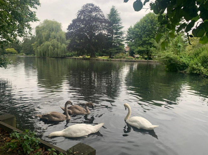 Others 5, Beddington Park Lodge East, London