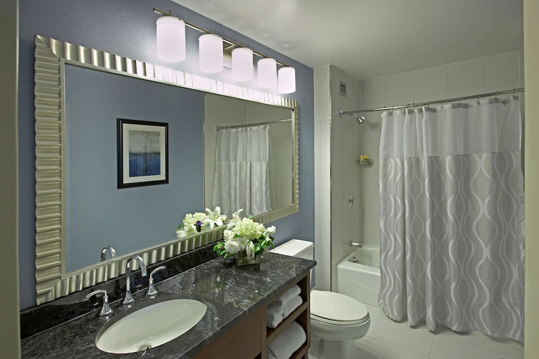 Bathroom 4, Hyatt Regency Buffalo Hotel And Conference Center, Erie