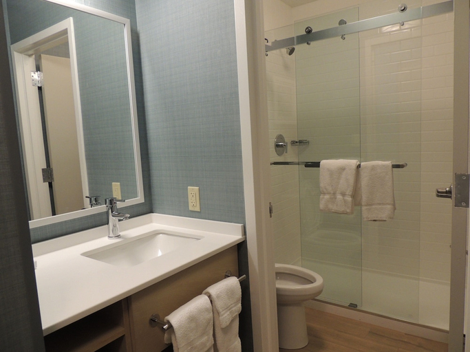 Bathroom 3, The Inn at Longwood Medical, Boston