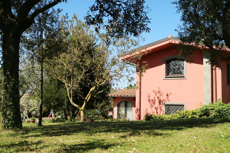 Others 2, B&B Ai Glicini - Castelli Romani, Roma