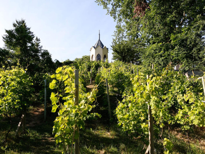 Others 5, Holiday Apartment in Werder, Potsdam-Mittelmark