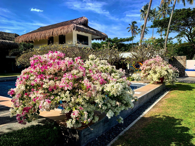 Others 5, Azure Dive Resort, Dauin