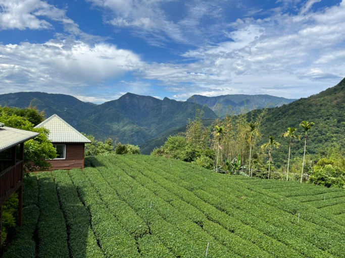 Others 5, Ye Jiang Hua Homestay, Chiayi County