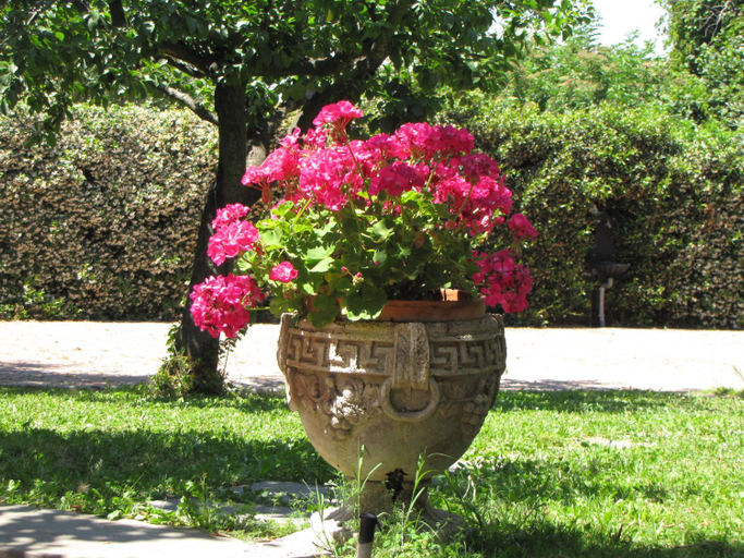 Others 5, B&B Ai Glicini - Castelli Romani, Roma