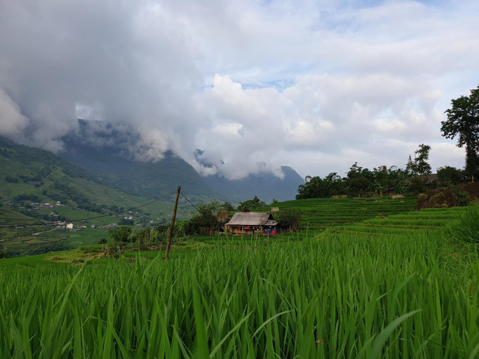 Others 5, Sapa Eco Hugo, Sa Pa
