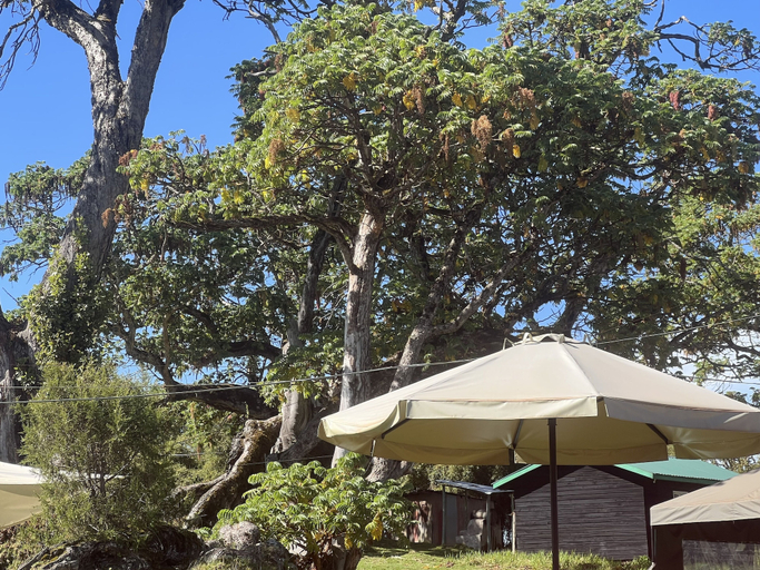 Others 5, Anabas Mount Kenya Lodge, South Imenti