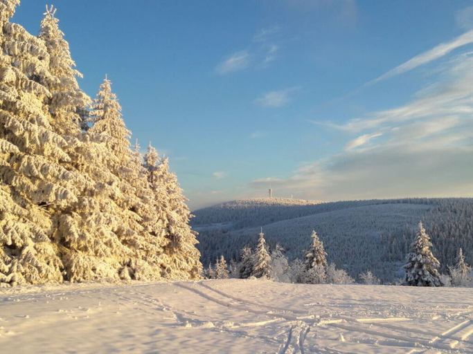 Others 3, Holiday Apartment Old Town for Family, Erzgebirgskreis