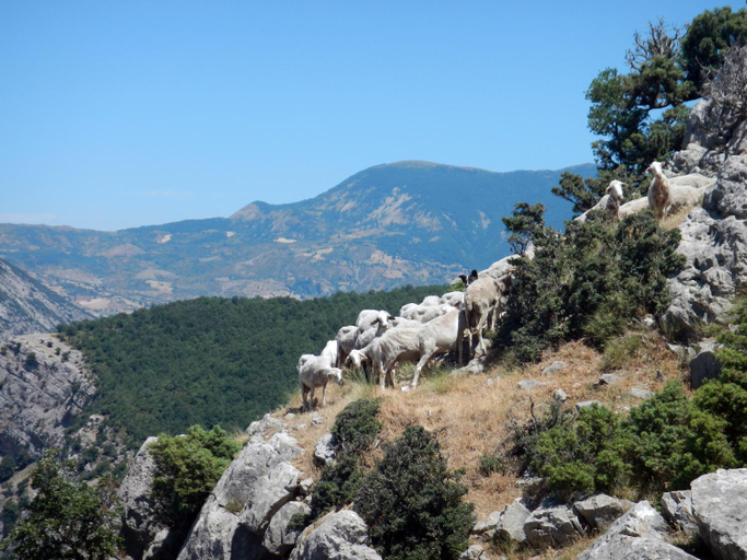 Others 1, Il Belvedere, Cosenza