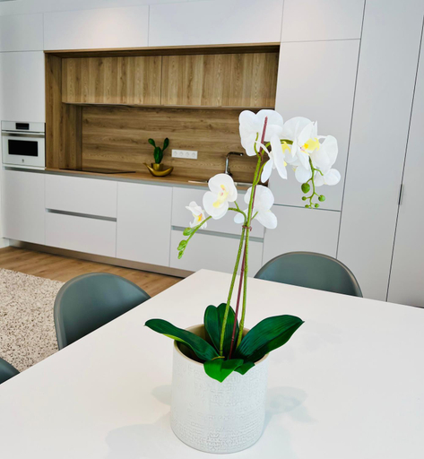 Others 3, BEST LOFT NEAR REAL MADRID STADIUM, Madrid