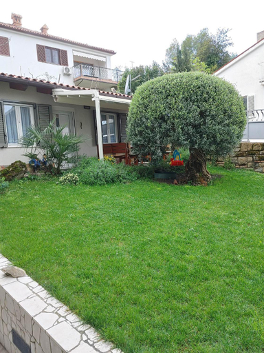 Others 2, Papillon- free parking, Koper