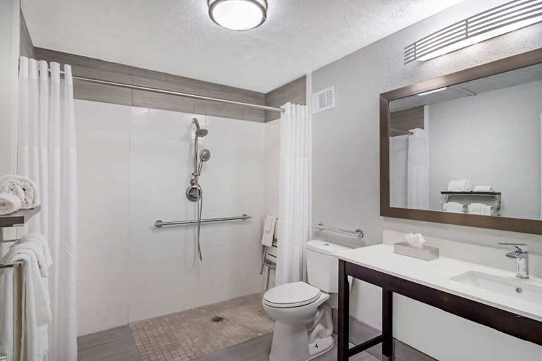 Bathroom, Quality Inn & Suites Cartersville South, Bartow