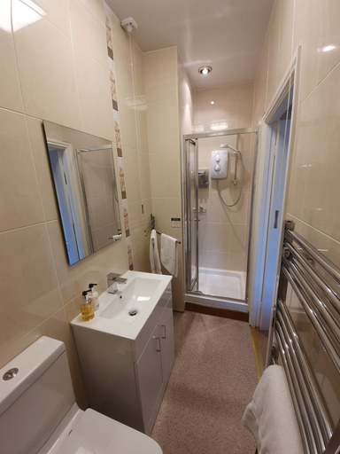 Bathroom 3, Tyn Y Fron Country House, Conwy