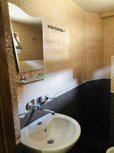 Bathroom 3, hotel Pharnavaz, Batumi