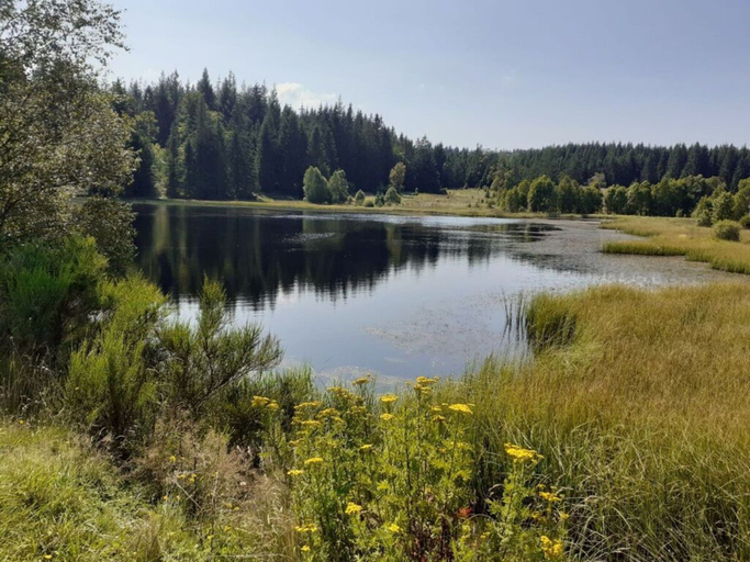 Property grounds 3, Haus Wiesenblick Comfortable Holiday Residence, Städteregion Aachen