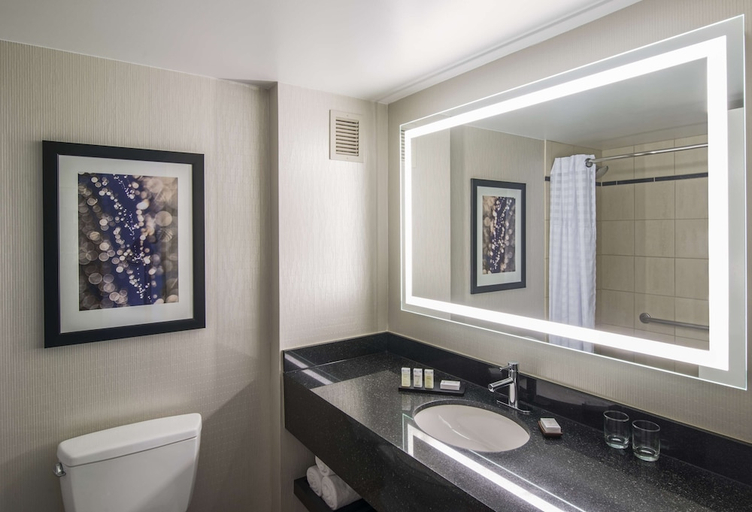 Bathroom 5, Embassy Suites by Hilton Chicago Downtown Magnificent Mile, Cook