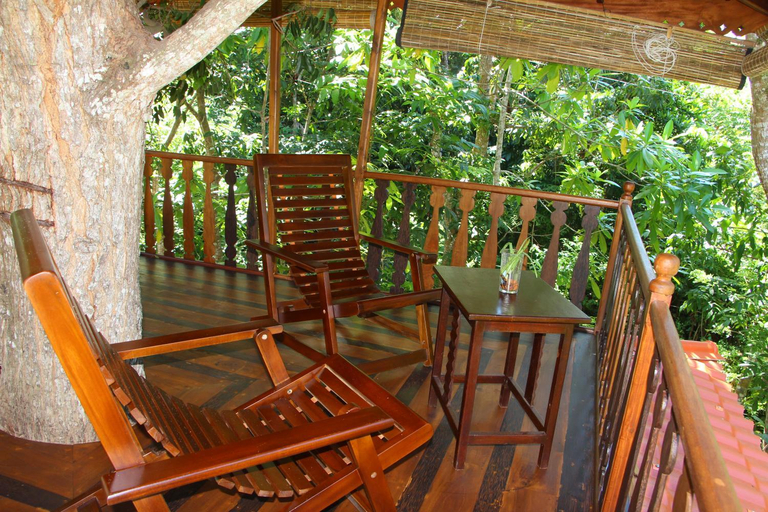 Others 5, Tree House-Midigama, Weligama