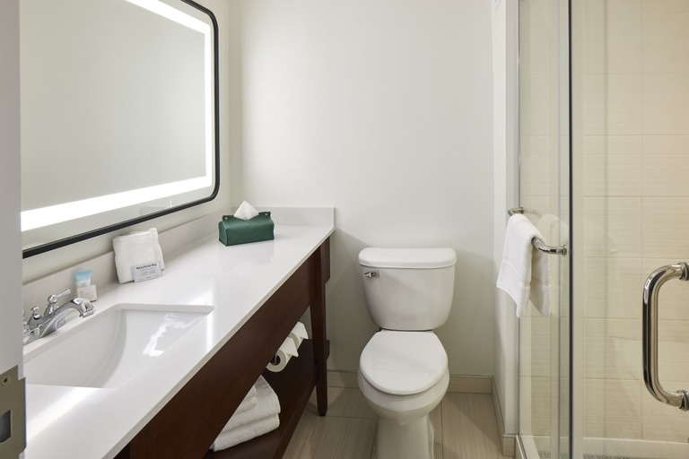 Bathroom 5, Ohio University Inn & Conference Center, Athens
