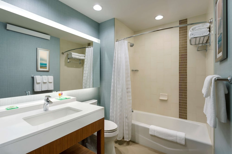 Bathroom 4, Hyatt Place Chicago Downtown/The Loop, Cook