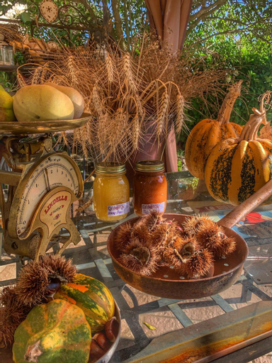 Food & Drinks 5, Ca' degli Ovi b&b, Alessandria