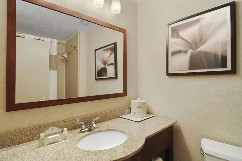 Bathroom 4, Comfort Inn & Suites Columbus North, Lowndes