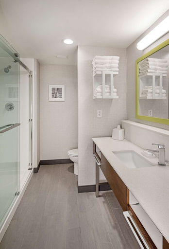 Bathroom 4, Hampton Inn Columbus NE, Platte