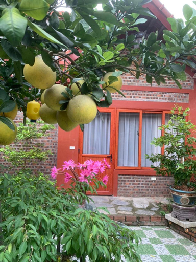 Others 4, Tam Coc Family Homestay, Hoa Lư