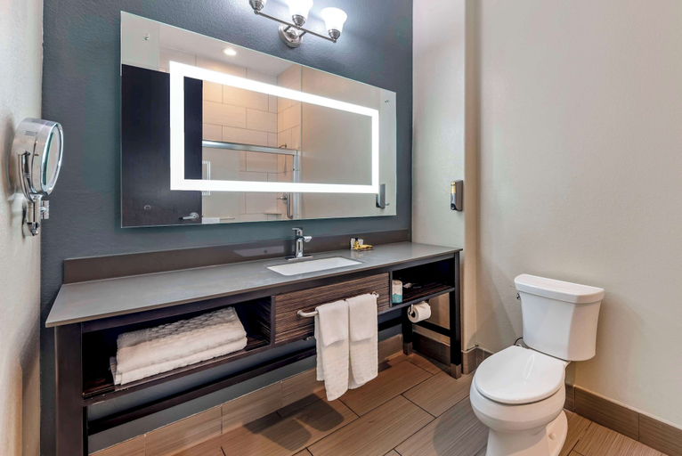 Bathroom 4, Best Western Plus Pflugerville, Travis