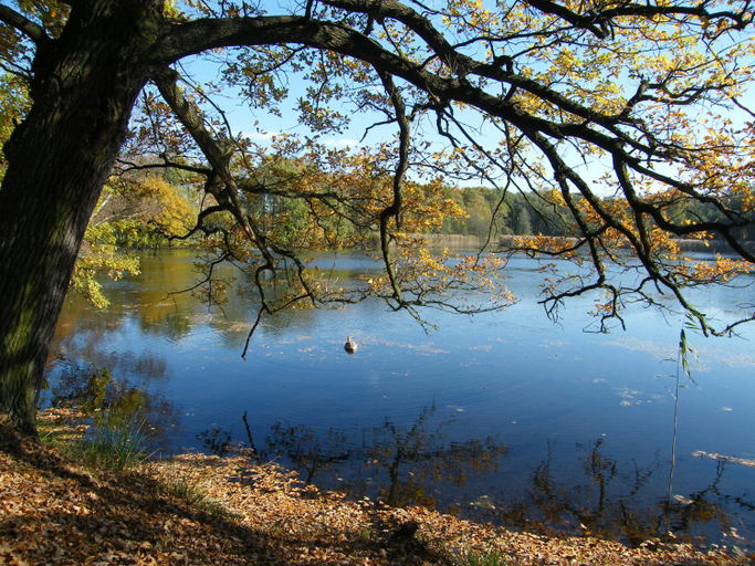 Surrounding environment 3, Resort "Schloss Reinharz", Wittenberg