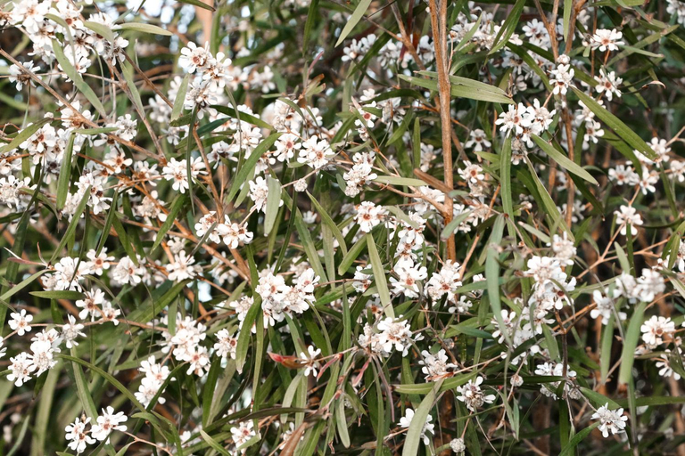 Garden 2, Barnville@Bremer Bed & Breakfast, Jerramungup