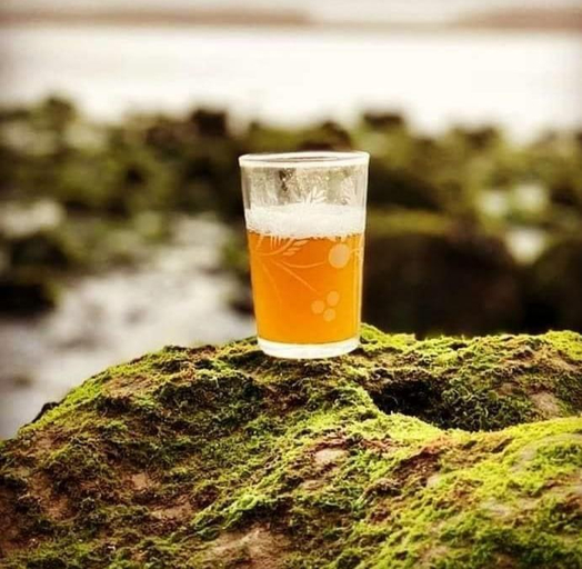Food & Drinks 5, Araucaria, El Jadida