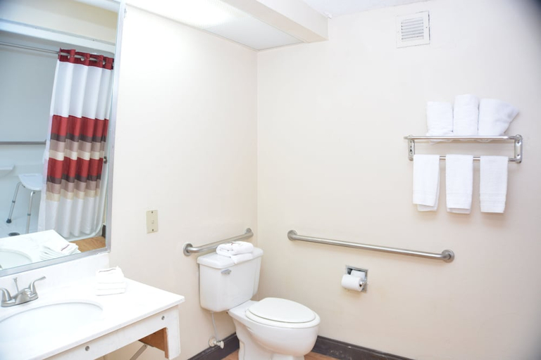 Bathroom 4, Red Roof PLUS+ & Suites Chattanooga - Downtown, Hamilton