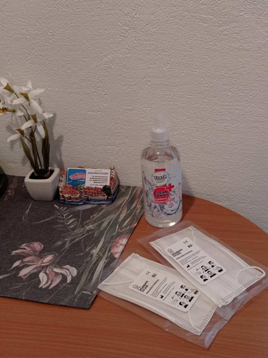 Facilities 2, Apartments Eldin, Dubrovnik