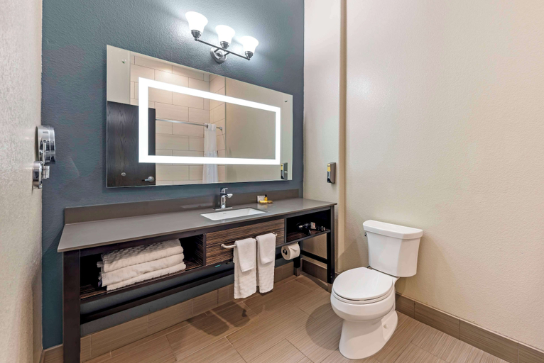 Bathroom 4, Best Western Plus Pflugerville, Travis