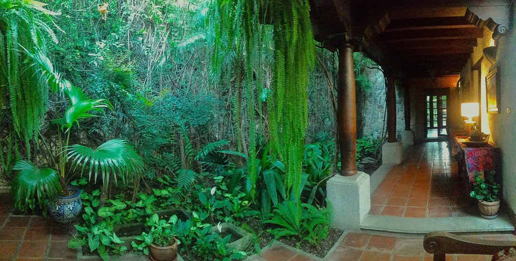 Others 2, Cissus Hotel Boutique, Antigua Guatemala